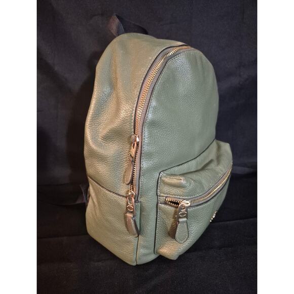 COACH Bag 30550 Backpack Pebbled Leather Medium Women's - Rare Green Authentic - Picture 3 of 16
